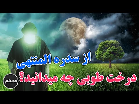 تصویری: سدر به چه معناست؟