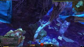 Coleopteran (Beetle) Cavern Jumping Puzzle: Shortcut!