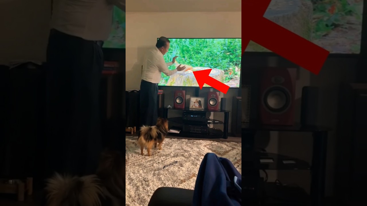 The bird was fake, but the teamwork was 100% real! 🤣📺 (@kathy_llittle)