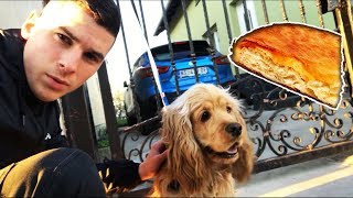 IDEMO PO BUREK U 5 UJUTRU SA BENIJEM !