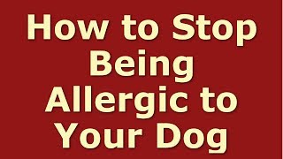 How to Stop Being Allergic to Your Dog | Dog Dander Allergy Treatment