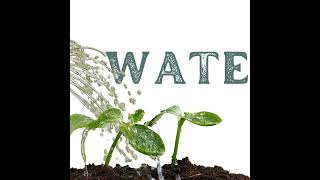 Plant Water Grow 2 - Water || Tracy Reddy