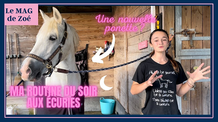 Le MAG de Zoé : Ma night routine - routine du soir avec les poneys