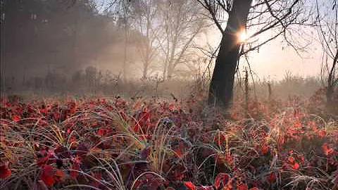Dvorak - Romance for piano and violin, Op.11