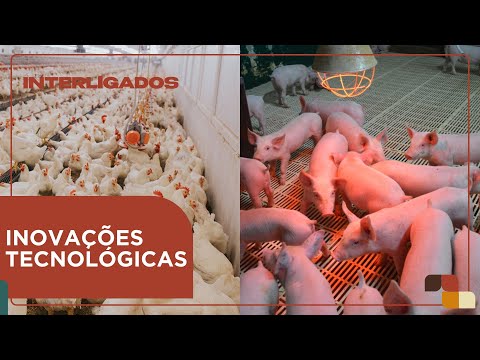 Como a tecnologia pode atrair mão de obra para a cadeia de aves e suínos? | Interligados - 05/05/25