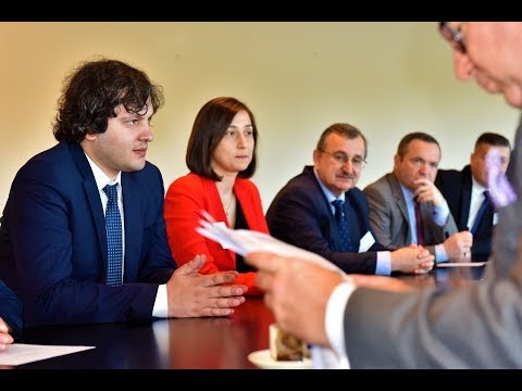 ირაკლი კობახიძის შეხვედრა ევროკავშირი-საქართველოს მეგობრობის ჯგუფის საბჭოსთან
