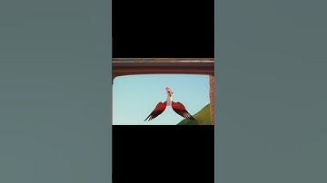 Forest Friends Build a Bridge: A Tale of Teamwork and Unity"