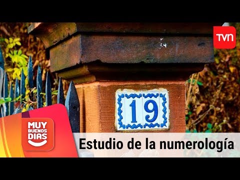 Vídeo: 4 maneres de saber si esteu dotat