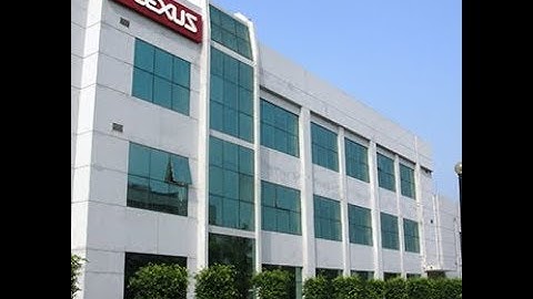 Plexus Company  Lunch Patry in Malaysia