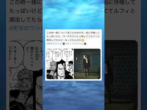 この時一緒に着いて来てたのね #ワンピース #onepiece #shorts