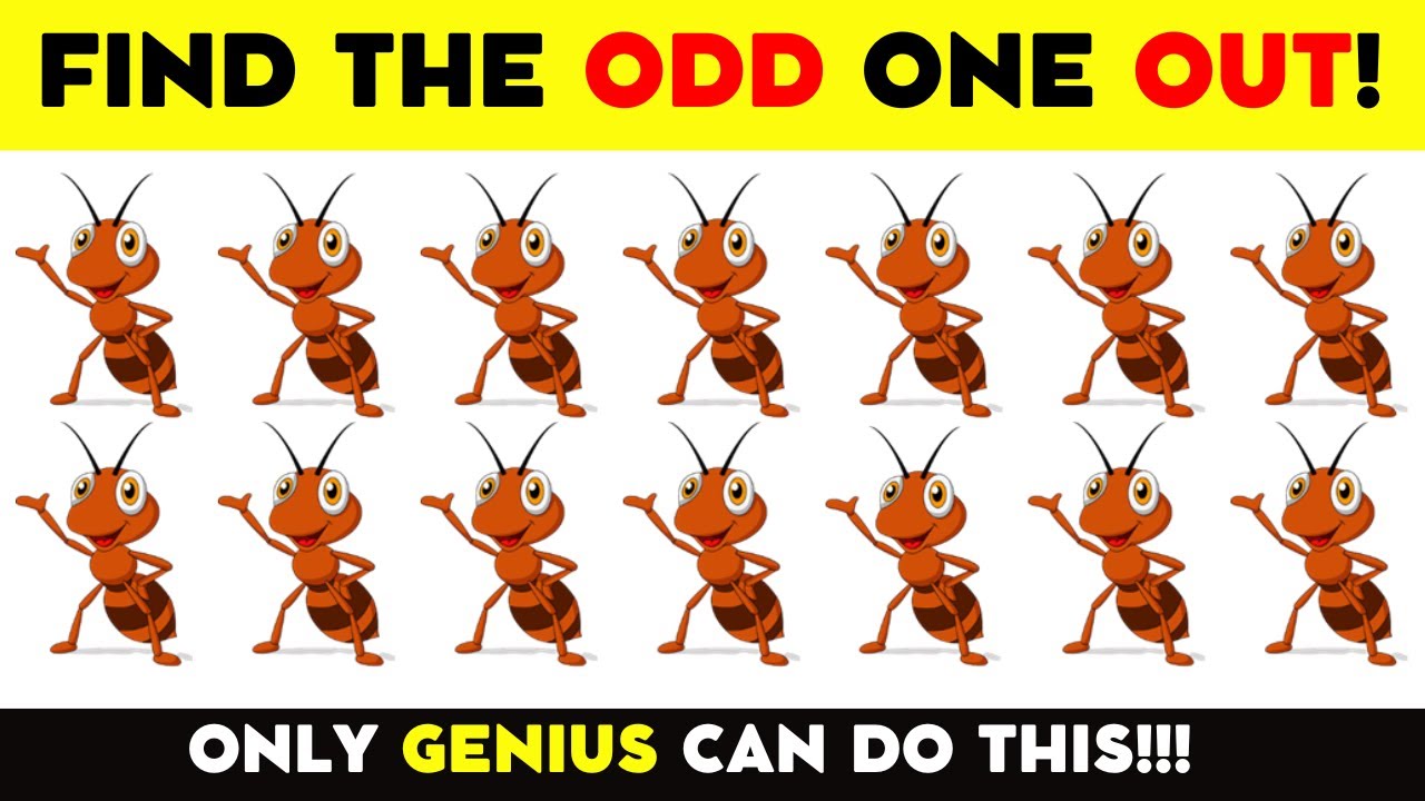 Can You Find The Odd One Out From These Pictures? Odd One Out Challenge - Part#2