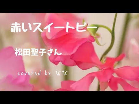 10,赤いスイートピー/松田聖子さん/cover