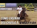 Como ensinar o meu cavalo a esbarrar?