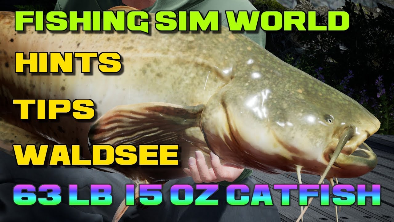 Fishing Sim World 63lb 15oz Wels Catfish Waldsee YouTube