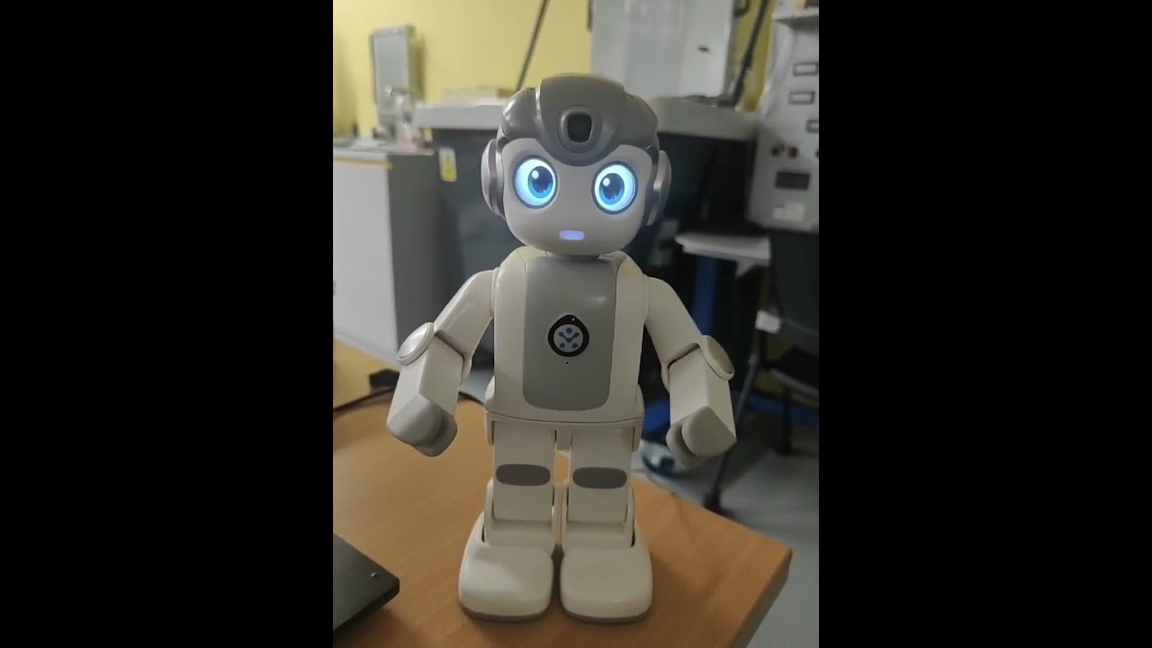 Alphamini Robot, Converting text to Speech  Video -3