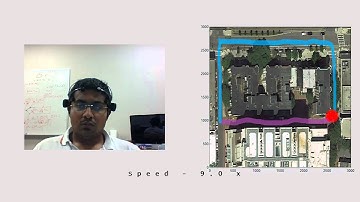 A Brain-Swarm Interface (BSI)
