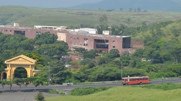 Conservative Dentistry and Endodontics