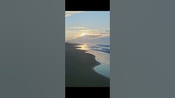 القارئ عمر الهاشمي سوره النحل