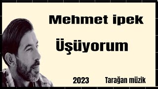 MEHMET İPEK: Üşüyorum Resimi