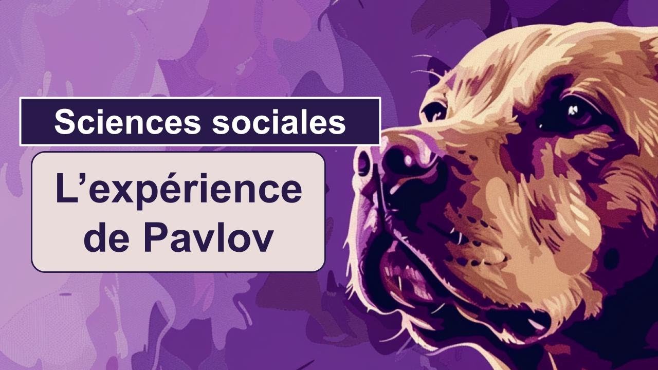 L’expérience de Pavlov - Le conditionnement associatif - YouTube