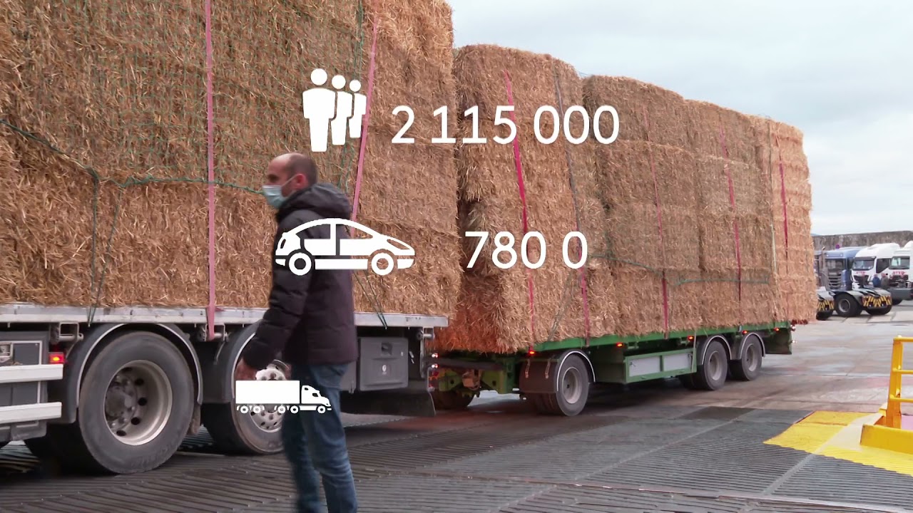 Sur le port de commerce de Bastia/ Série France 3 Corse