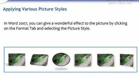 INSERTING OBJECTS | MS WORD | ENGLISH