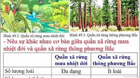 Câu hỏi và bài tập sinh học 9 bài 49 năm 2024