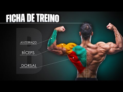 Fichas de Treinos Completas com Todos os Exercícios (AB, ABC, ABCD..) 