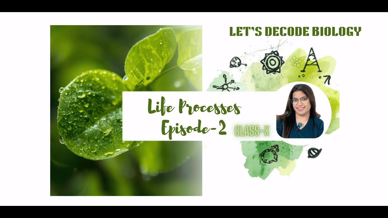 “Don’t Fear Biology!☠️ Decode It 😃– Part 2: Life Processes🌱” - YouTube