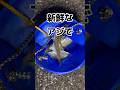 冬のアジ釣って食う #shorts #釣り