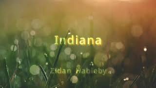 Indiana | By : Zidan Habieby | Simple Fvnky | Special for 2020 | Music Official