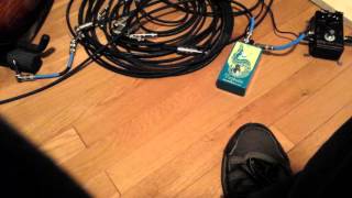 Earthquaker Devices Tentacle - Funk rhythm