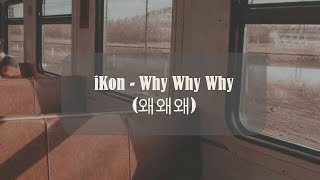 iKon  - Why Why Why 왜왜왜 [Lyrics and Indo Sub]