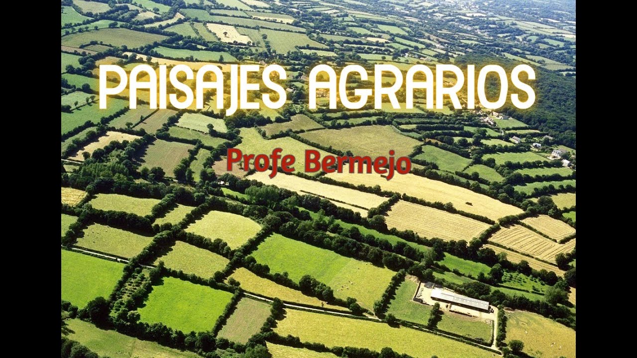 Los paisajes agrarios.