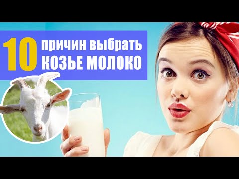 Видео: Разница между коровьим и козьим молоком