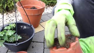 When and how to plant flowers ?if you want know put into pod this
video is for you.this new series called: ana in the garden we wil...