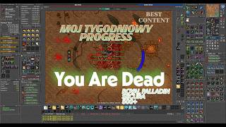 TIBIA SECURA MOJ TYGODNIOWY PROGRESS. YOU ARE DEAD. ROYAL PALLADIN WEEKLY PROGRESS !!!GIVEAWAY!!!