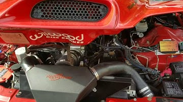 My 02 WS6 ProCharged & Nitrous Outlet wet plate  Trans Am