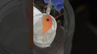 Painting a new lure design#fishing#viral#lures