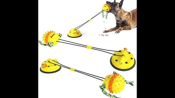 Hottest Dog vacuum suction cup tug of war toys for aggressive chewers