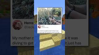 Hawk couldnt believe what was happening 😭
Hello, and here are some
inspired by Six and dam and evakz
Twitter: @adrianshiber
TikTok: @adrianshiber
Instagram & Snapchat: @adrianshiba
On the Shiba Shorts channel, I post original YouTube Shorts with Minecraft Hypixel Parkour Gameplay in the background. All editing, audio, and gameplay are produced by me!
#shorts Hawk couldnt believe what was happening 😭