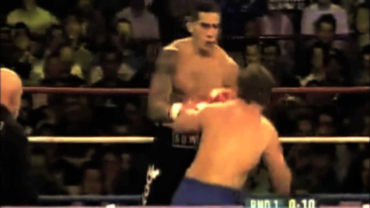 Sonny Bill Williams Boxing Tribute Youtube