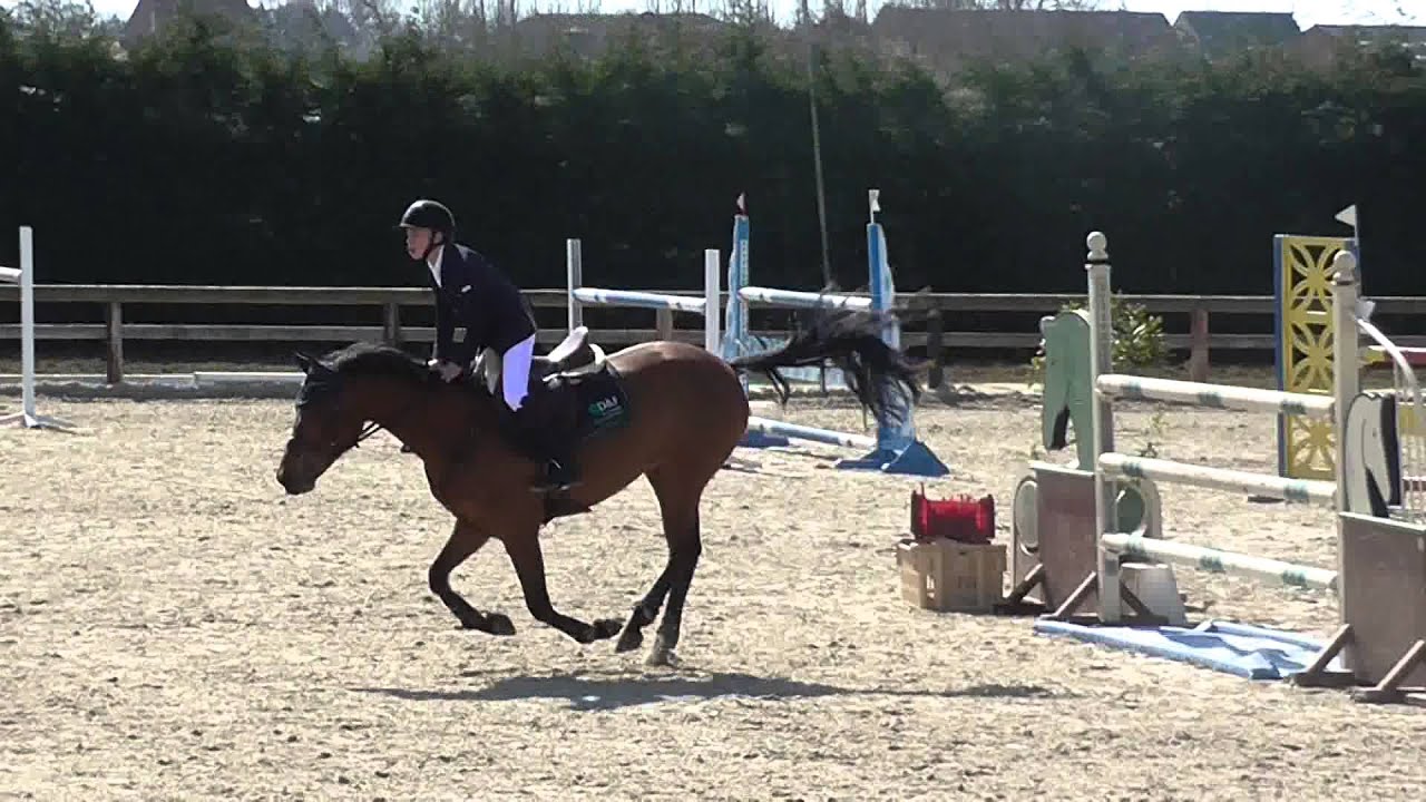 Roy van Beek, Mylana, FEI Hulsterlo barrage