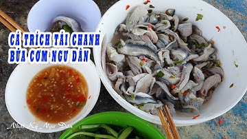 Ăn Hải Sản - CÁ TRÍCH TÁI CHANH • Bữa Cơm Đạm Bạc Trên Ghe Biển | #nhatkyngudan P52