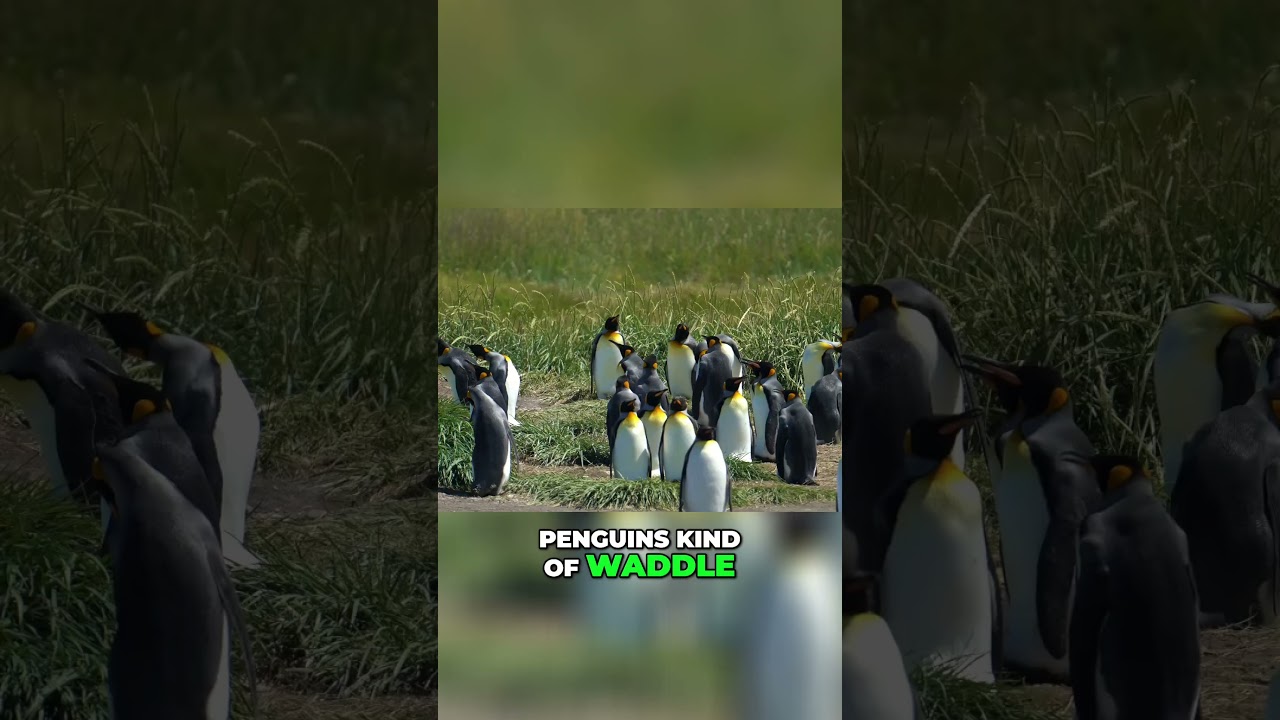 Unbelievable Encounter with King 