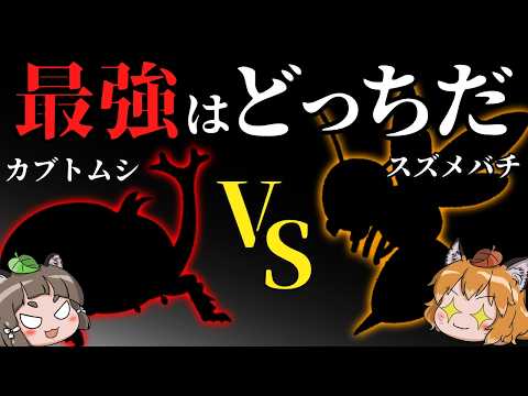 【激突】カブトムシVSスズメバチ!最強の昆虫はどっちなの?|樹液をめぐる壮絶なガチバトル
