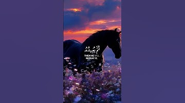 آيات من القرآن الكريم ذكرى للذاكرين #القرآن_الكريم_راحة_نفسية 😌😌