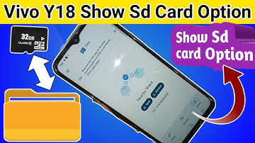 Vivo Y18 show SD card or Memory card option