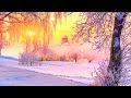 🌌 Winter Snow Scene Relaxing Piano Music - Best Sleep Music - Meditation Study Spa Yoga Music #05