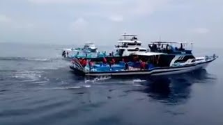Five fishing boat came close to catch tuna | pole and line tuna fishing in Maldives